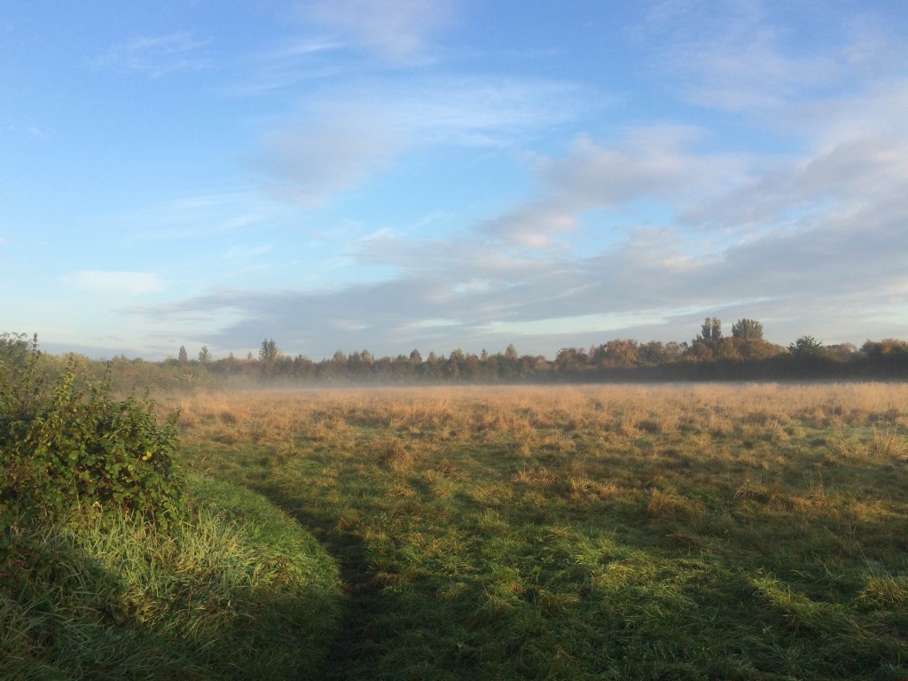 meadows-october-img_1826